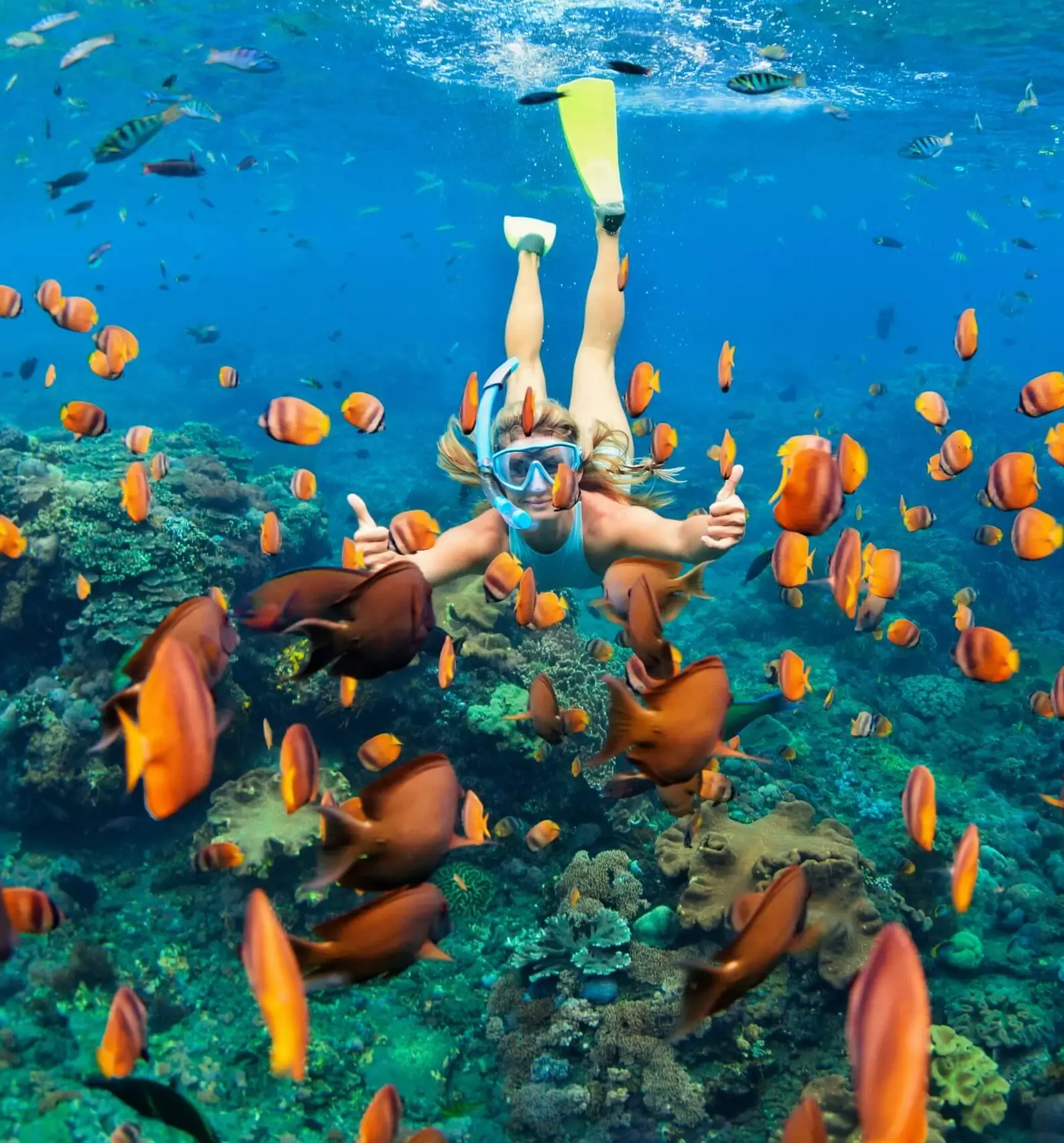 Skyview-Watersports-Aruba-Private-Snorkel-Trip