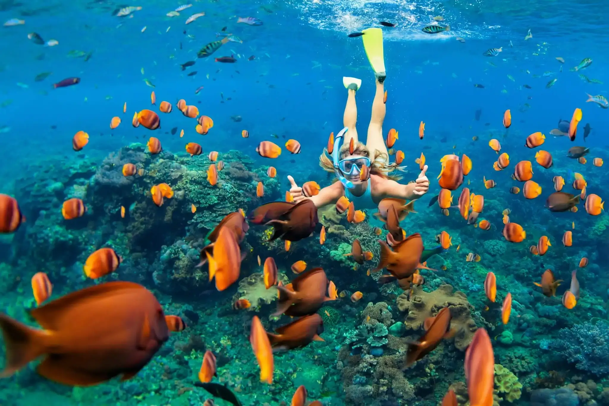 Private Snorkel Trip - Skyview Watersports Aruba